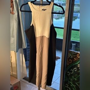 Express Knee Length color block dress